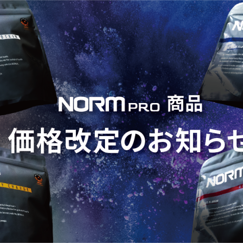 <span class="title">NORM PRO商品　価格改定のお知らせ</span>